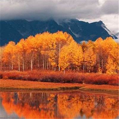 江南appapp下载截图